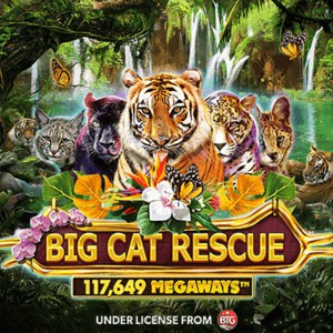 Big Cat Rescue Megaways