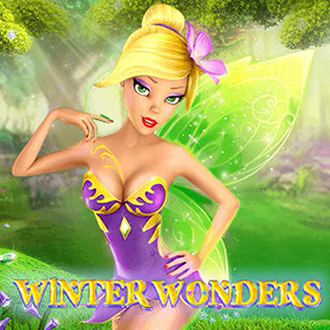 Winter Wonders